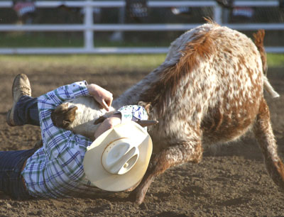 Bulldogging - diving off a perfectly good horse onto a running steer.